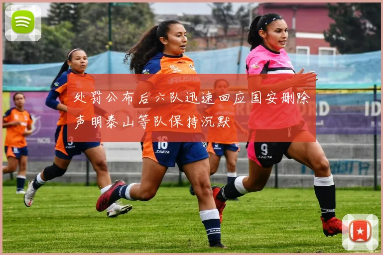 处罚公布后六队迅速回应国安删除声明泰山等队保持沉默