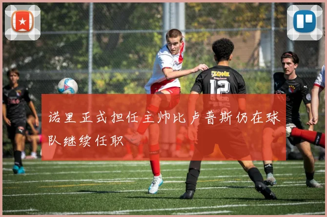诺里正式担任主帅比卢普斯仍在球队继续任职